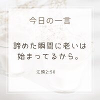 画像273