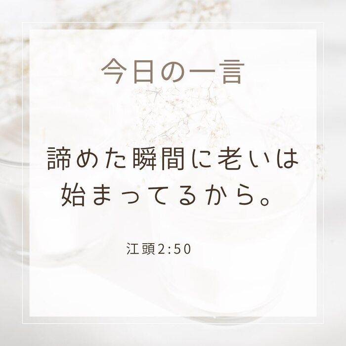 画像273