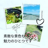 画像277