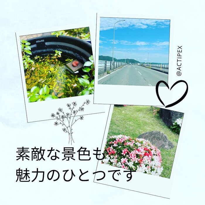 画像277