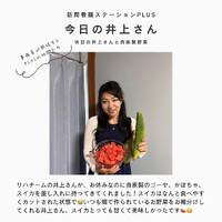 画像378