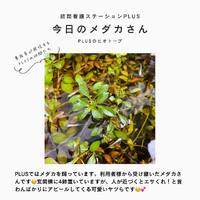 画像405
