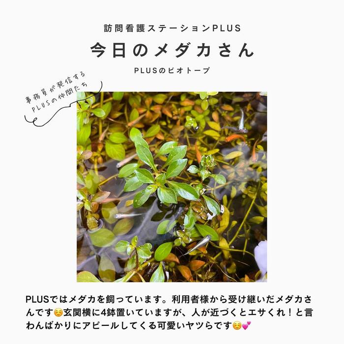 画像405