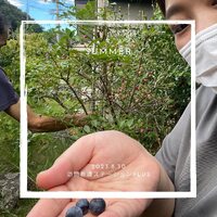 画像410