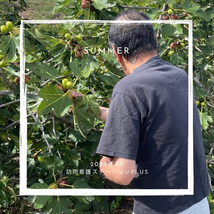 画像412
